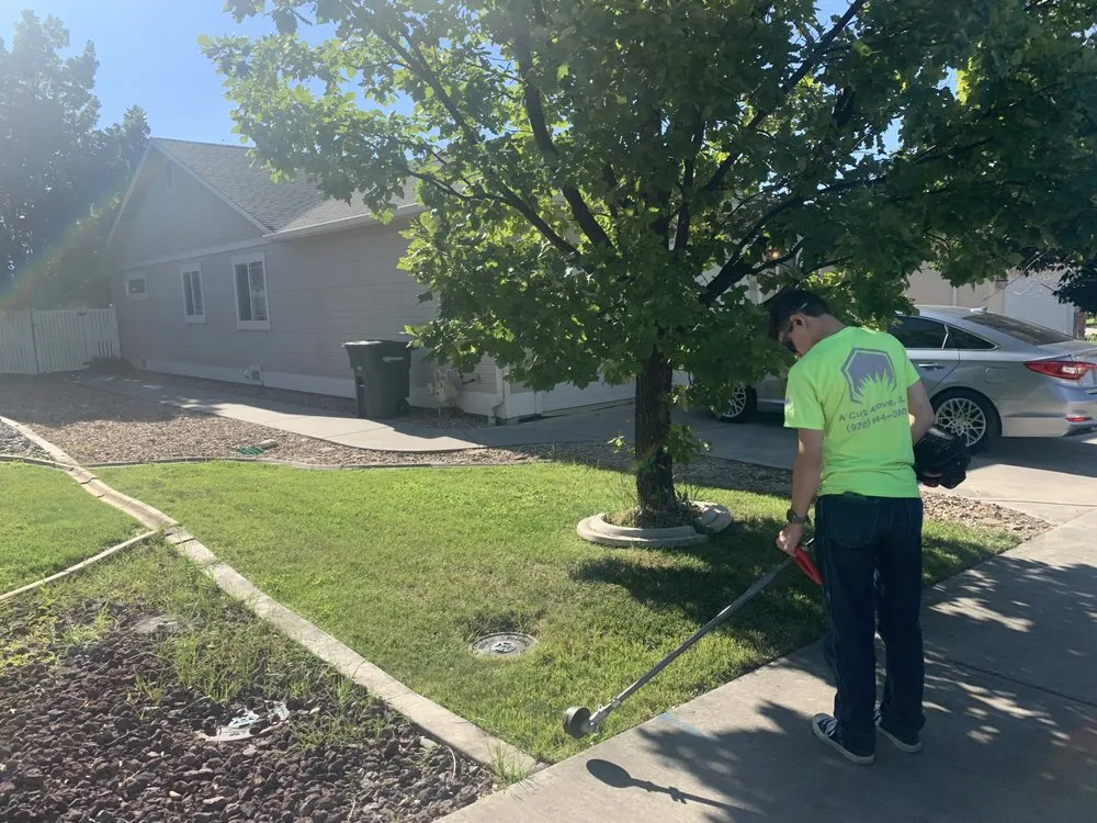 Top-rated yard cleanup service for year-round maintenance across Grand Junction, CO - A Cut Above