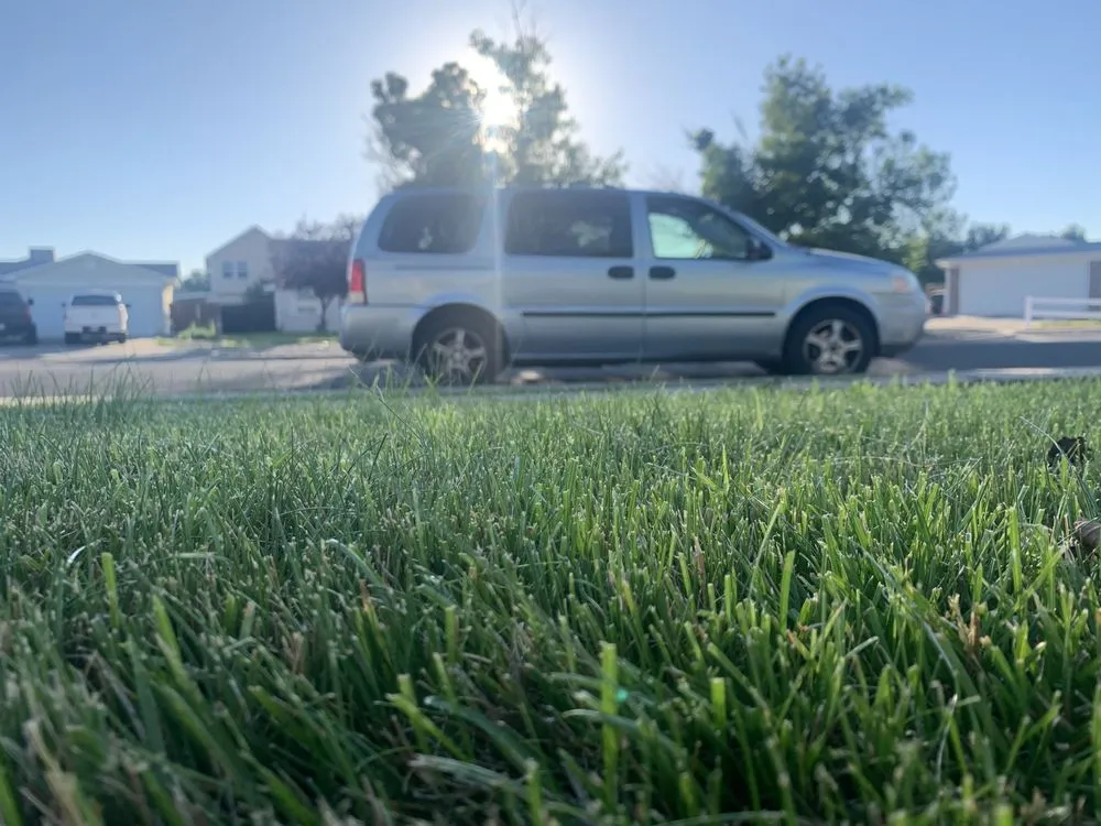 Local landscape installation experts serving Grand Junction, CO - A Cut Above