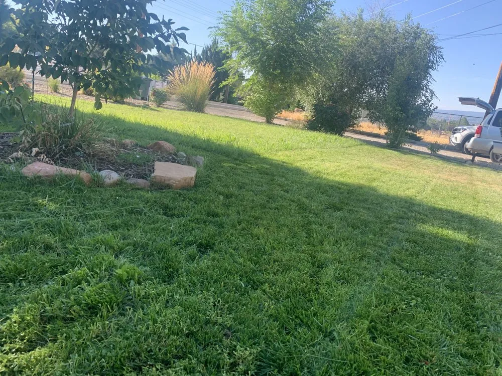 Local yard maintenance for beautiful yards across Grand Junction, CO - A Cut Above