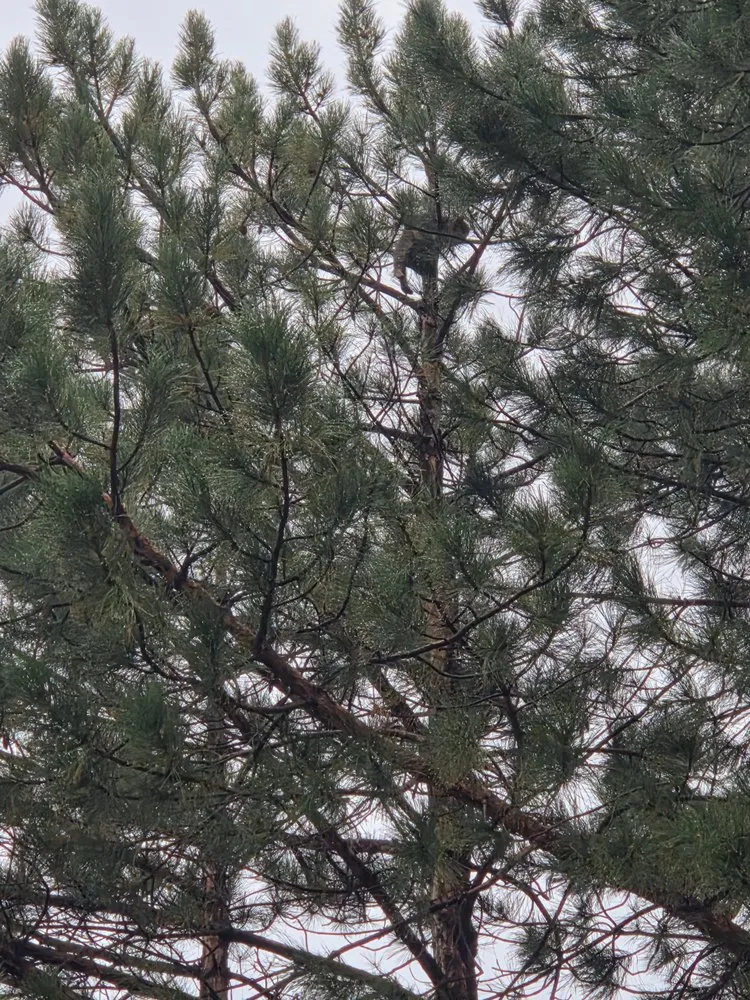 Reliable garden landscaping in Grand Junction, CO - A Cut Above