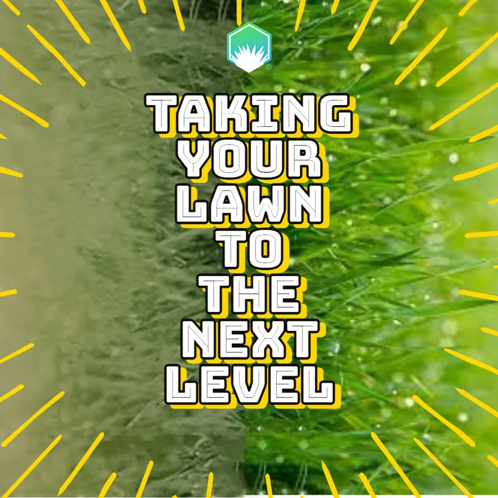 Local lawn mowing service experts serving Grand Junction, CO - A Cut Above