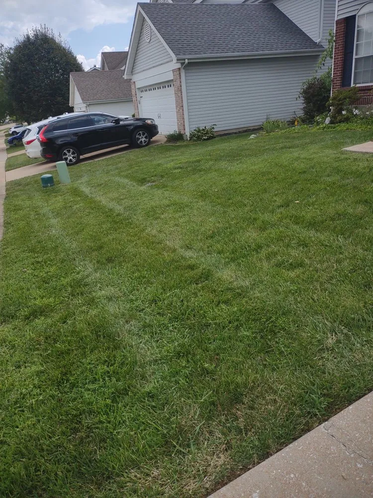 Top-rated landscape installation for year-round maintenance across High Ridge, MO - A Cut Above