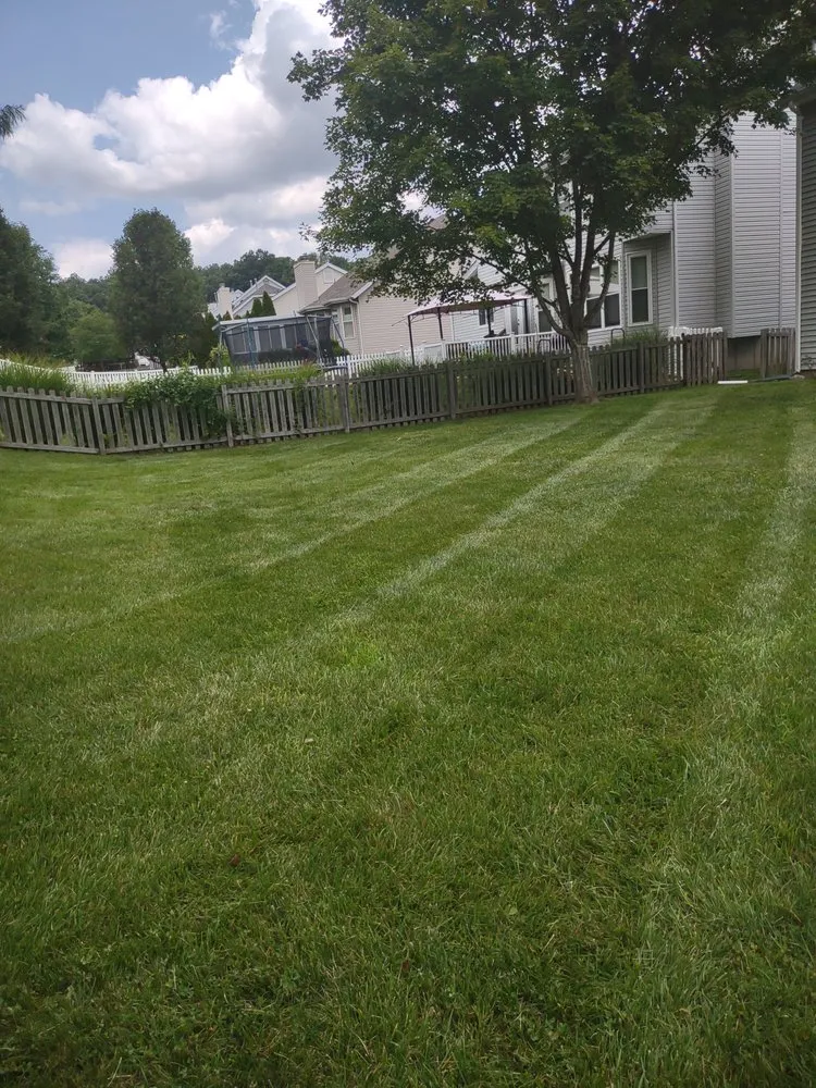 Custom landscape design for year-round maintenance in High Ridge, MO by A Cut Above