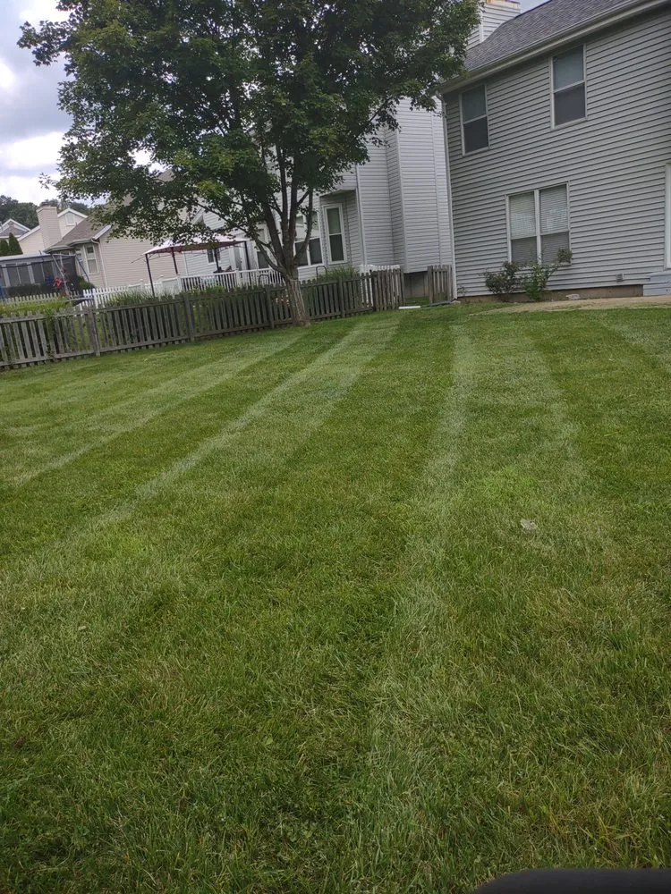 Expert landscape installation for year-round maintenance across High Ridge, MO - A Cut Above