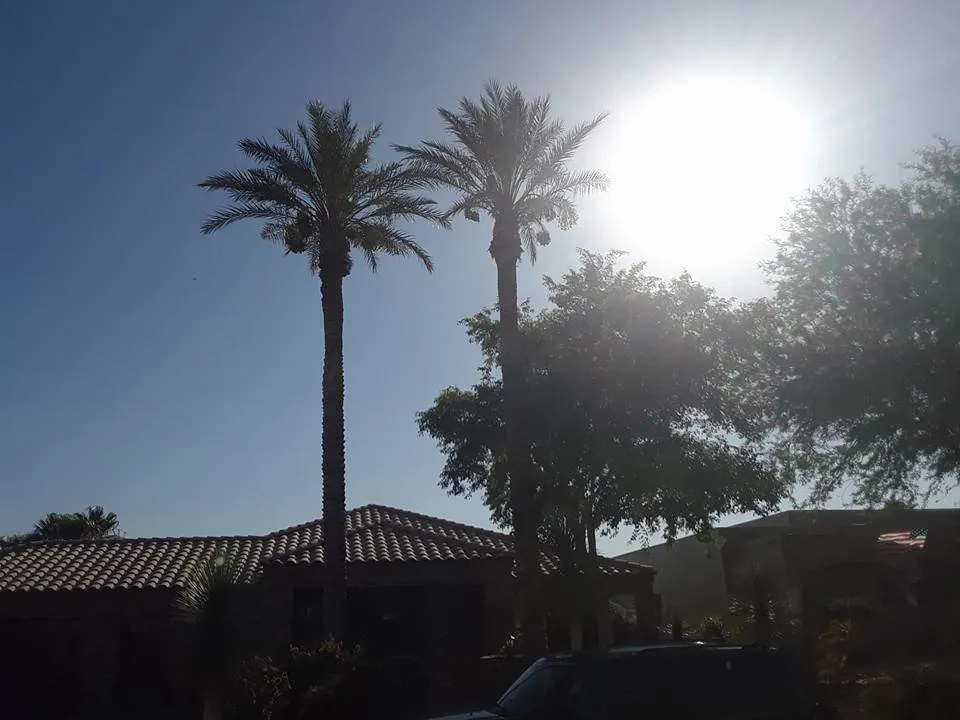 Expert landscape design near you in Bullhead City, AZ by A Cut Above Landscape and Tree Service