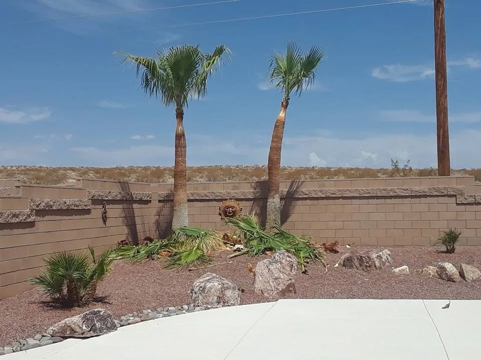 Expert residential landscaping in Bullhead City, AZ - A Cut Above Landscape and Tree Service
