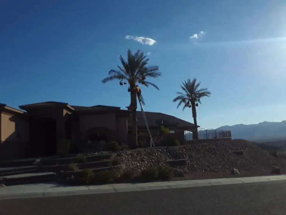 Reliable yard maintenance in Bullhead City, AZ by A Cut Above Landscape and Tree Service