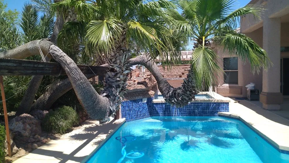 Local yard maintenance for residential properties across Bullhead City, AZ - A Cut Above Landscape and Tree Service