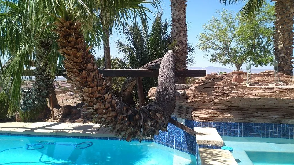 Reliable landscape design experts serving Bullhead City, AZ - A Cut Above Landscape and Tree Service