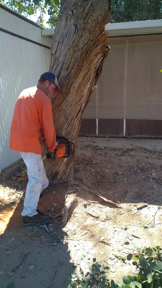 Trusted landscape design near you in Bullhead City, AZ by A Cut Above Landscape and Tree Service