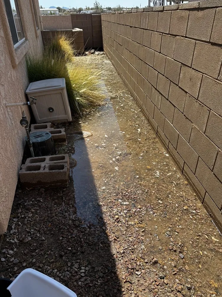 Expert lawn care service experts serving Bullhead City, AZ - A Cut Above Landscape and Tree Service