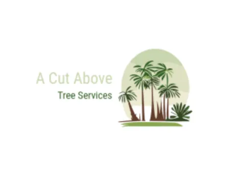 Reliable yard cleanup service in Bullhead City, AZ - A Cut Above Landscape and Tree Service