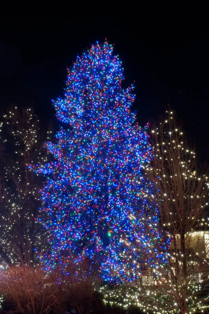 Custom garden landscaping for homes in Commerce City, CO by A Cut Above Landscape