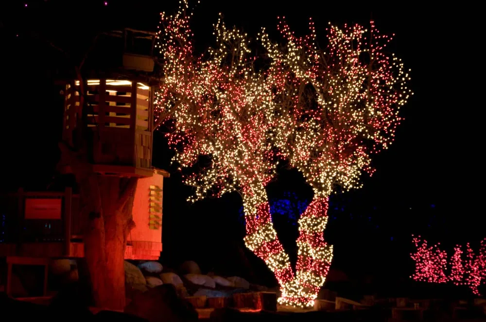 Trusted landscape installation in Commerce City, CO by A Cut Above Landscape