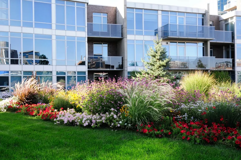 Top-rated lawn mowing service for residential properties in Commerce City, CO by A Cut Above Landscape