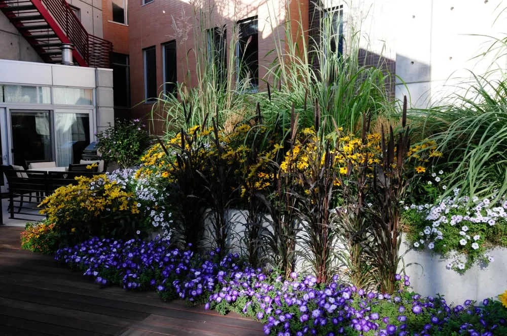 Custom yard cleanup service for residential properties in Commerce City, CO by A Cut Above Landscape