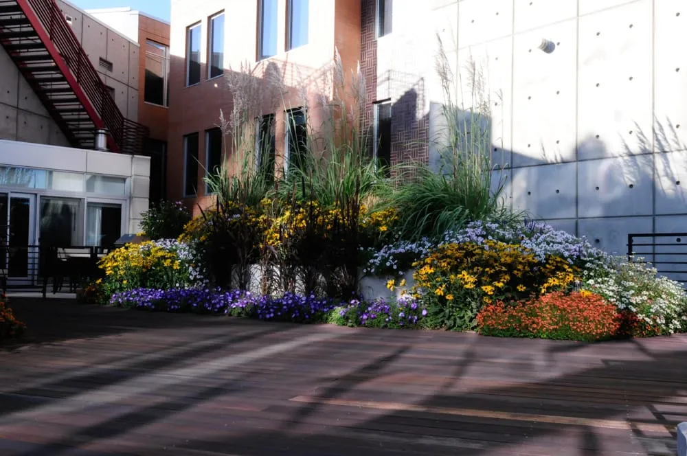 Top-rated landscape installation for year-round maintenance in Commerce City, CO by A Cut Above Landscape