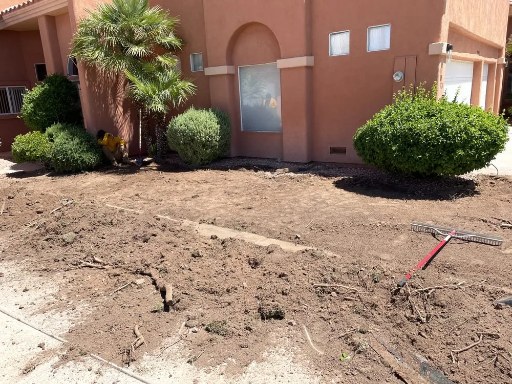 Expert yard cleanup service in Mesquite, NV by A Cut Above Landscape Lawn Care And Pruning