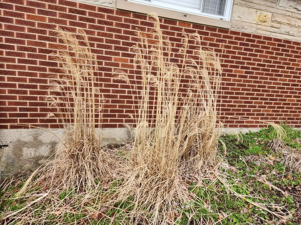 Custom residential landscaping for beautiful yards across New Kensington, PA - A Cut Above Landscape