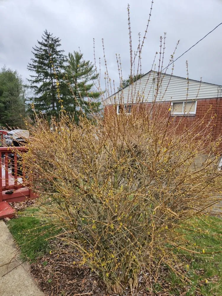 Reliable outdoor landscaping in New Kensington, PA by A Cut Above Landscape