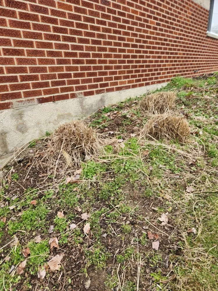 Professional lawn care service for outdoor upgrades in New Kensington, PA by A Cut Above Landscape