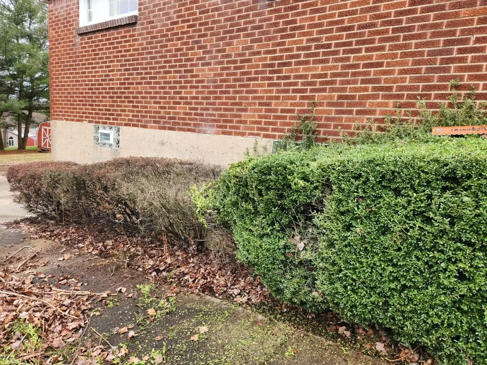 Professional yard cleanup service for outdoor upgrades across New Kensington, PA - A Cut Above Landscape