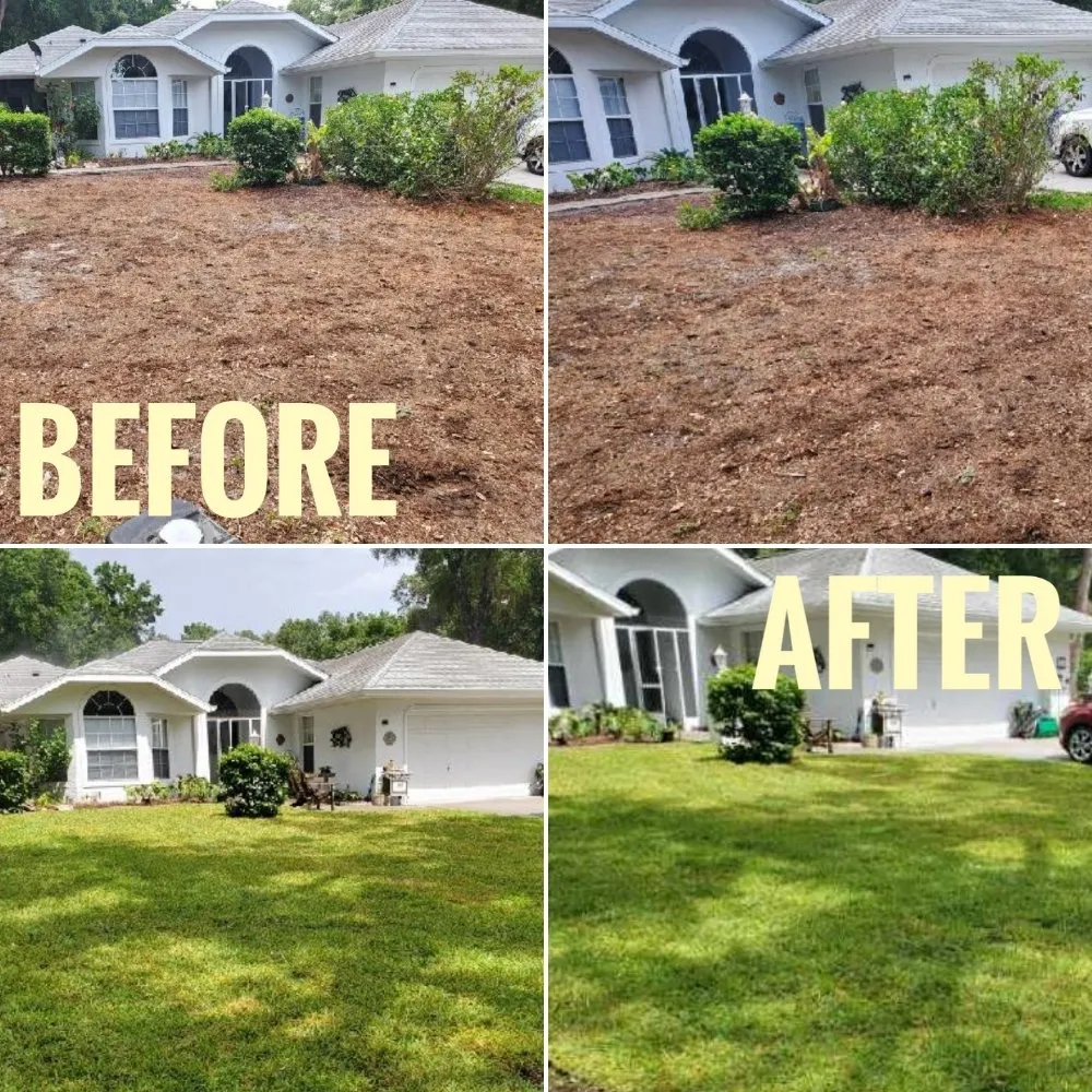 Expert outdoor landscaping with custom design across Dunnellon, FL - A Cut Above Landscaping & Outdoor Concepts