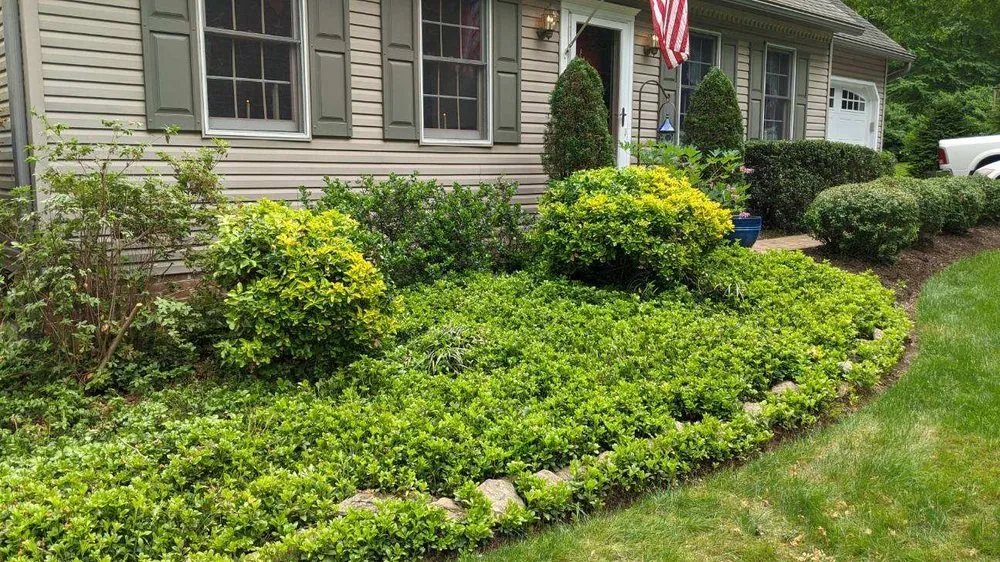 Professional yard maintenance in Quarryville, PA by A Cut Above Landscaping