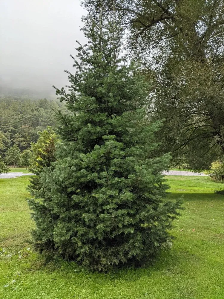 Custom garden landscaping in Quarryville, PA by A Cut Above Landscaping