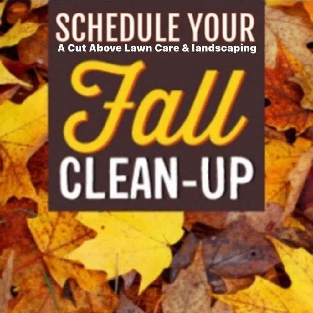 Top-rated garden landscaping experts serving Sheffield, AL - A Cut Above Landscaping