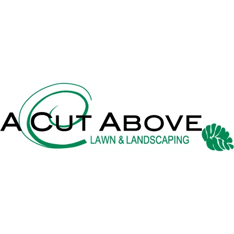 Custom yard cleanup service near you in Knoxville, TN by A Cut Above Lawn & Landscaping