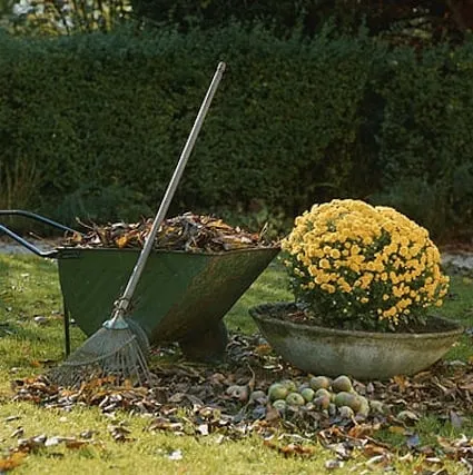 Top-rated residential landscaping experts serving Knoxville, TN - A Cut Above Lawn & Landscaping