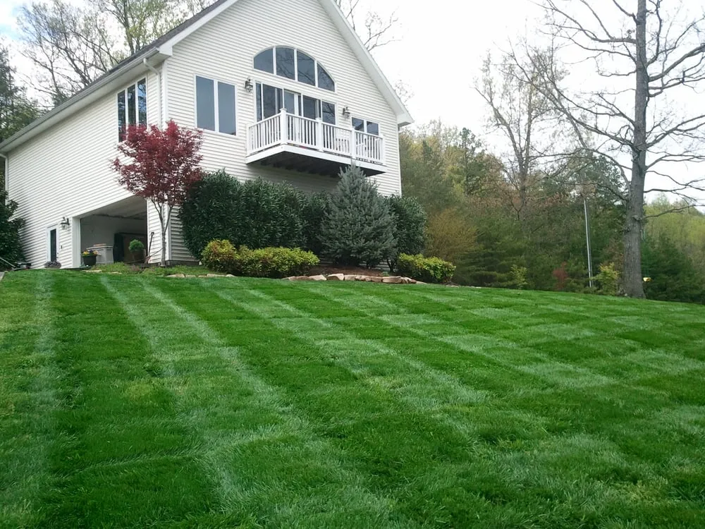 Trusted yard cleanup service in Knoxville, TN - A Cut Above Lawn & Landscaping