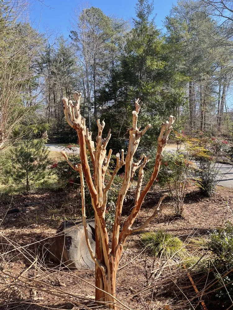 Trusted lawn care service experts serving Landrum, SC - A Cut Above Lawn Care & Pressure Washing