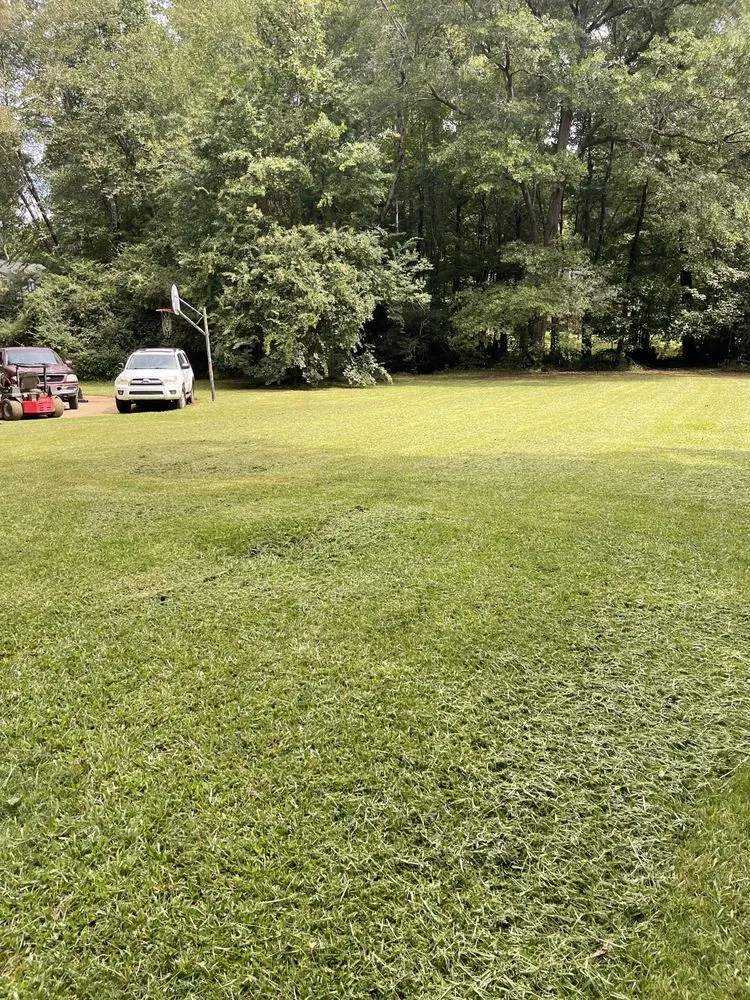 Professional landscape installation in Landrum, SC - A Cut Above Lawn Care & Pressure Washing