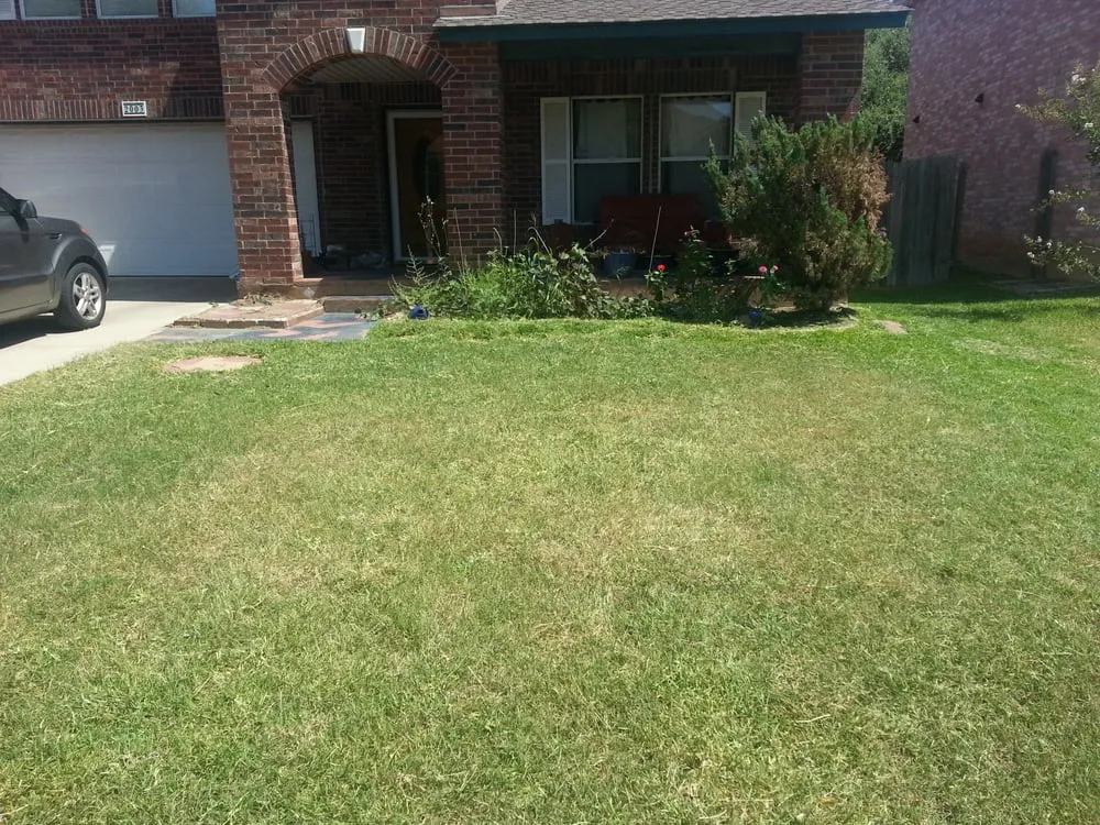Professional lawn mowing service experts serving Austin, TX - A Cut Above Lawn Care