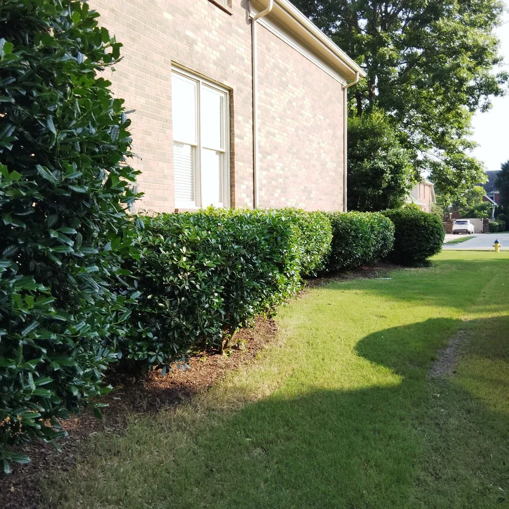Trusted landscaping services experts serving Huntsville, AL - A Cut Above Lawn Care HSV