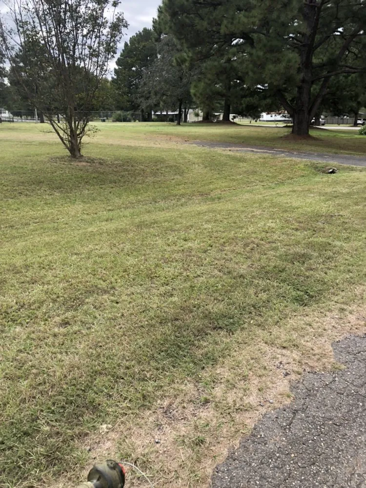 Professional outdoor landscaping in Keithville, LA by A Cut Above Lawn Care