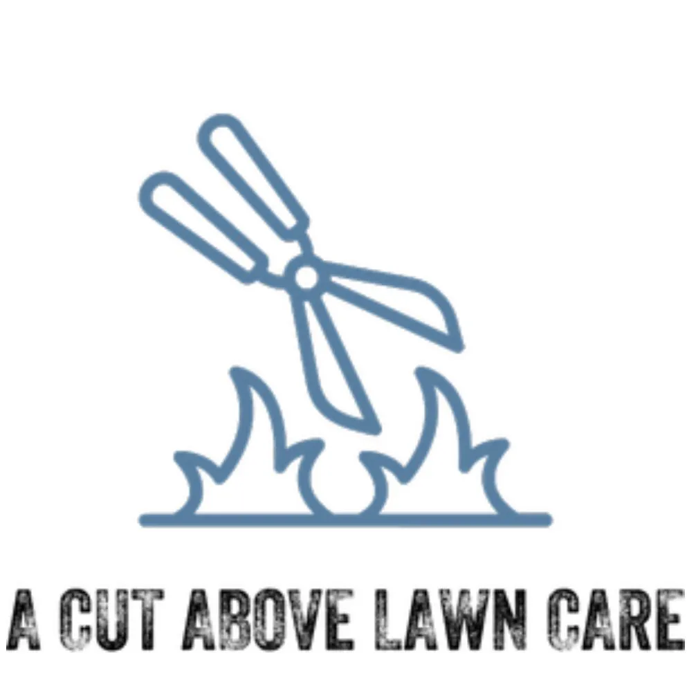 Professional lawn care service for homes across Keithville, LA - A Cut Above Lawn Care
