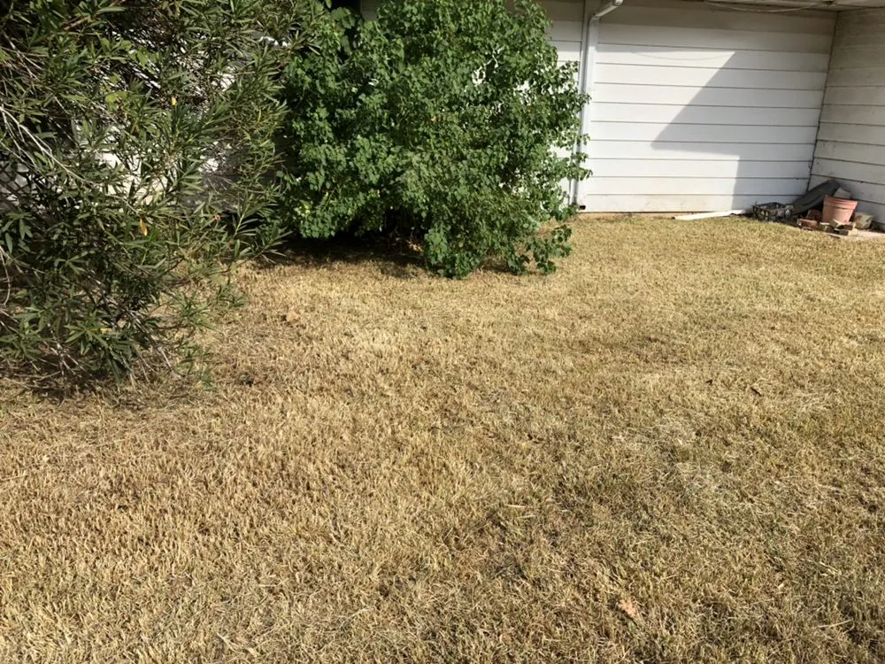 Affordable landscape installation for homes across Keithville, LA - A Cut Above Lawn Care