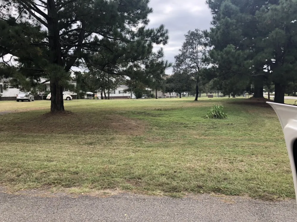 Top-rated yard cleanup service in Keithville, LA - A Cut Above Lawn Care