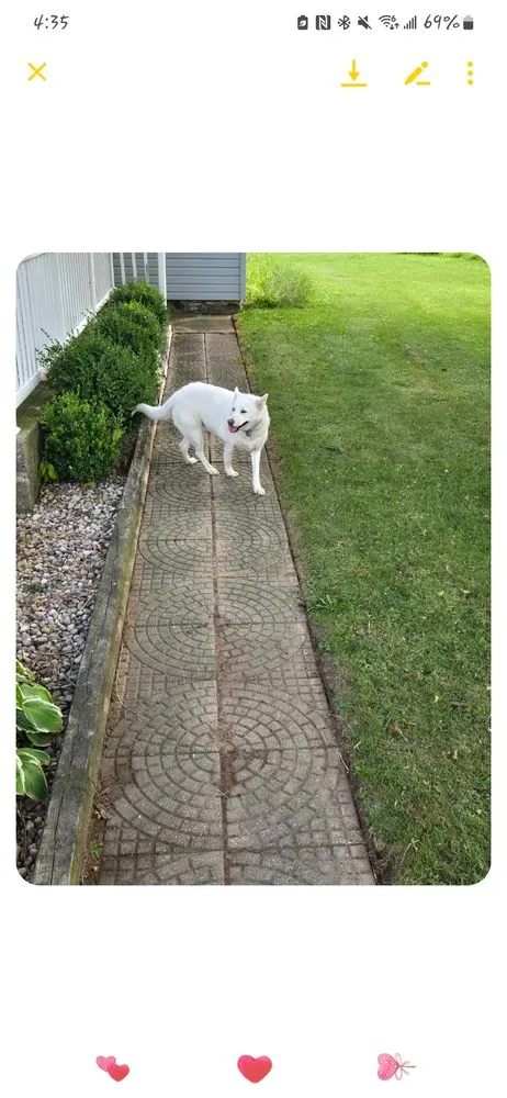 Trusted lawn mowing service with custom design in Manitowoc, WI by A Cut Above Lawn Care