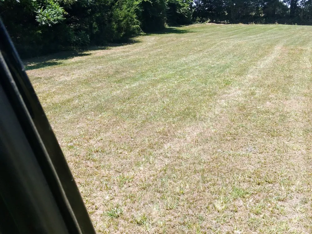 Expert lawn mowing service for outdoor upgrades across Pocahontas, AR - A Cut Above Lawn Care