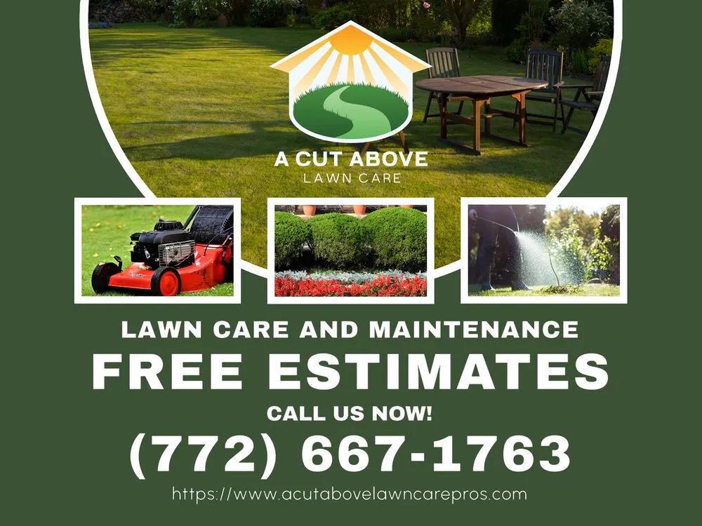 Professional landscaping services in Port St. Lucie, FL - A Cut Above Lawn Care