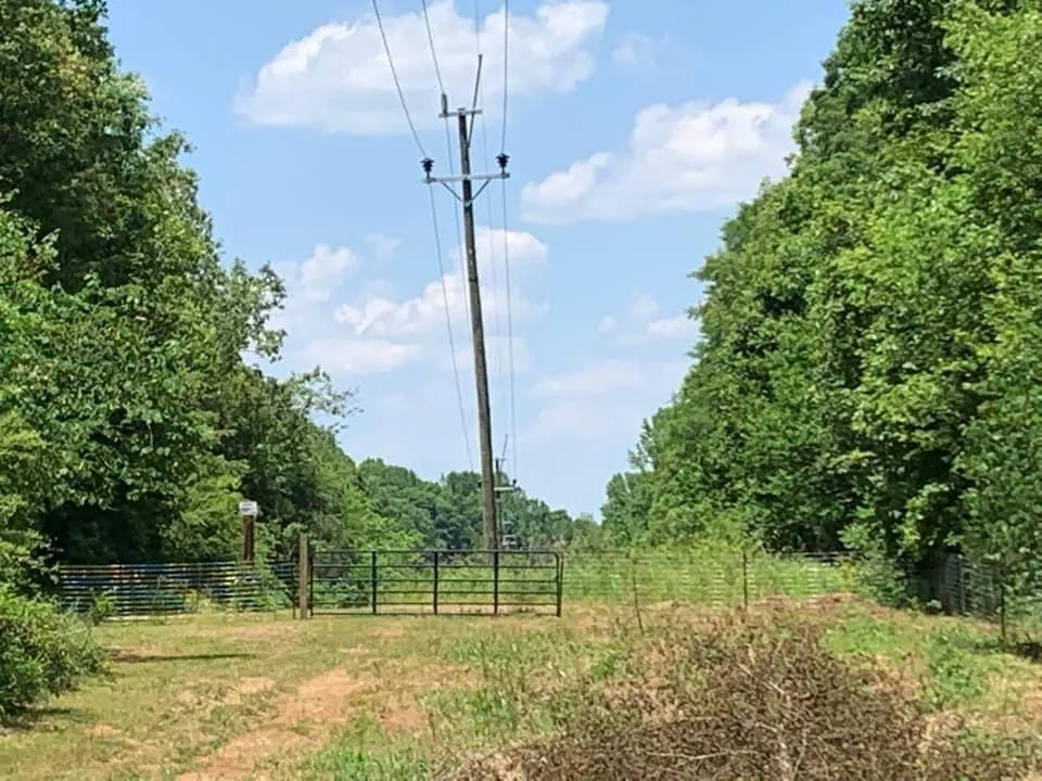 Custom yard cleanup service in Rock Hill, SC by A Cut Above Lawn Care