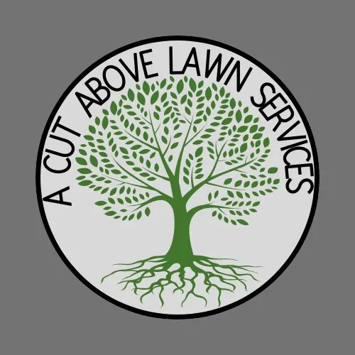 Custom landscape installation with custom design across Mesa, AZ - A Cut Above Lawn Care Services