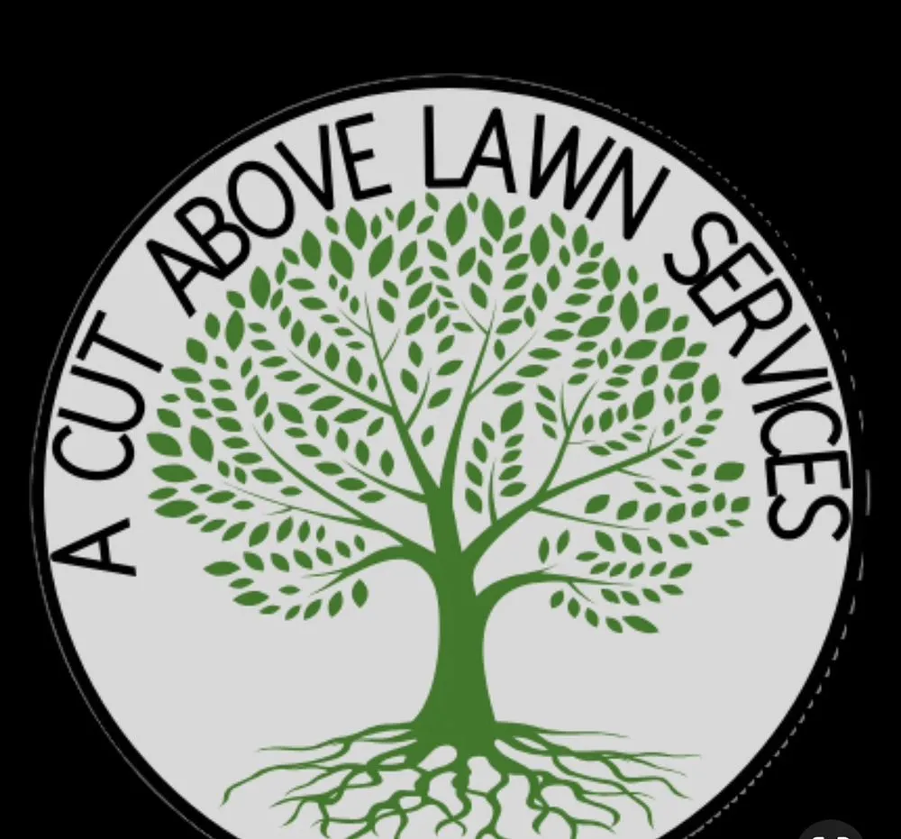 Reliable outdoor landscaping in Mesa, AZ by A Cut Above Lawn Care Services