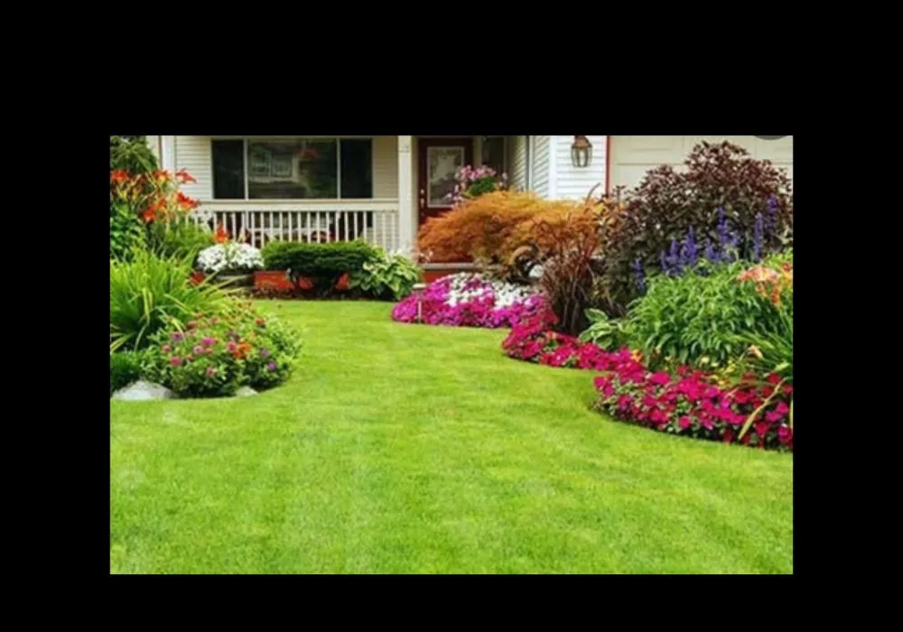Reliable landscaping services near you across Mesa, AZ - A Cut Above Lawn Care Services