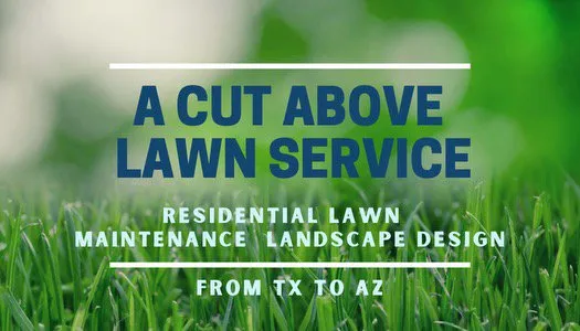 Trusted residential landscaping in Mesa, AZ by A Cut Above Lawn Care Services