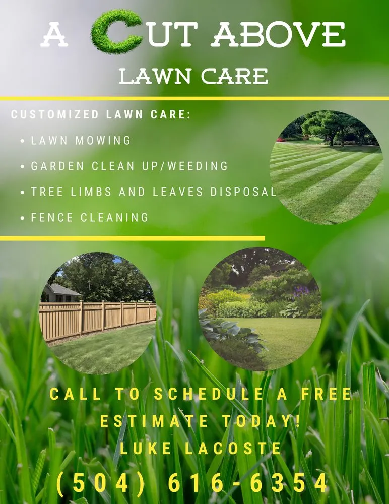 Custom yard cleanup service experts serving Spring Hill, TN - A Cut Above Lawn Care
